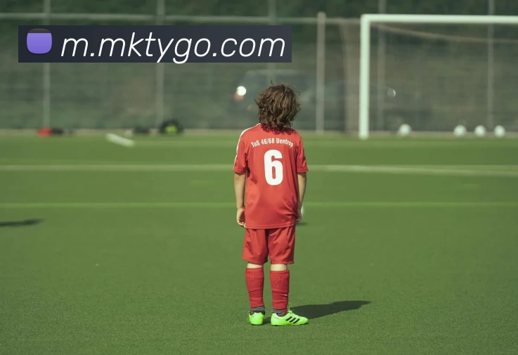 MK体育平台生态图