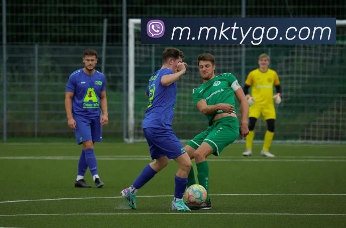 MK体育APP 封面图